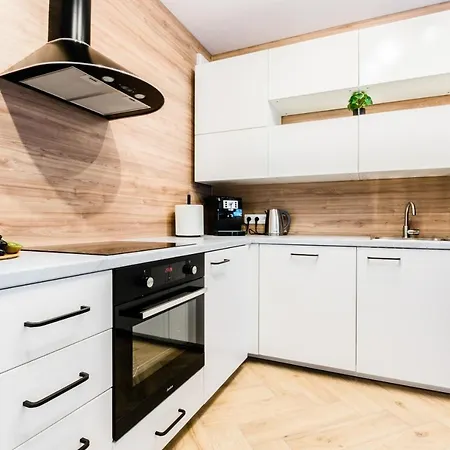 Apartment Vintage No1 Olsztyn (Warmian-Masurian)