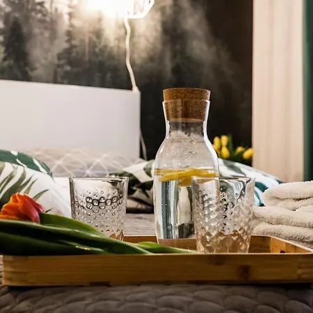 Appartement Vintage No1 Olsztyn (Warmian-Masurian)