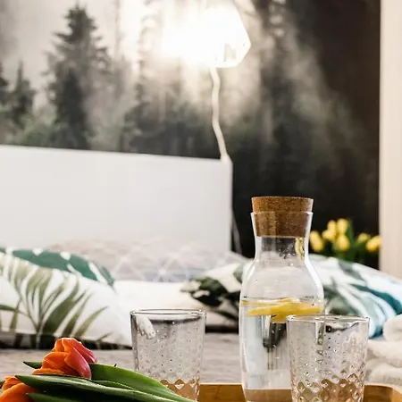 Vintage No1 Apartment *